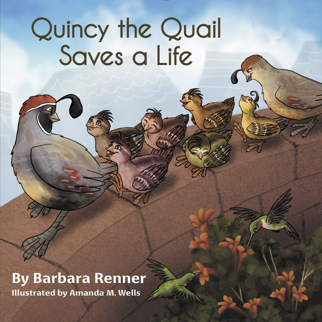 Hummingbirds found in Quincy the Quail Saves a Life