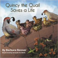 Quincy the Quail Saves a Life, Books by Renner Writes