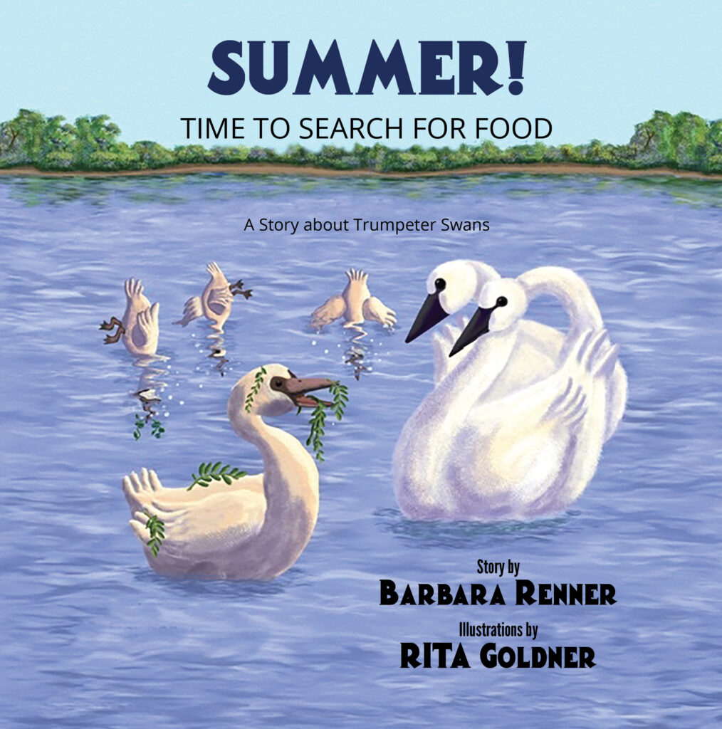 Summer! Time to Search for Food, A Story about Trumpeter Swans, Children's Picture Books