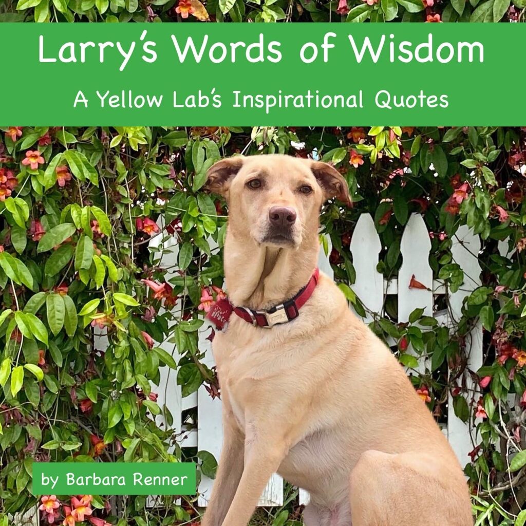 Larry's Words of Wisdom book in softcover and hardcover.