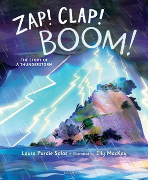 New Book Zap! Clap! Boom!