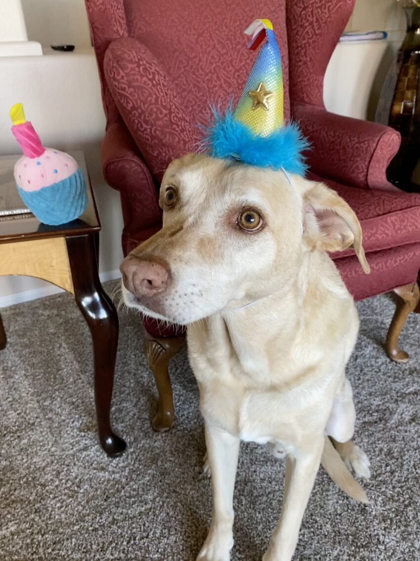 Happy Birthday, Larry