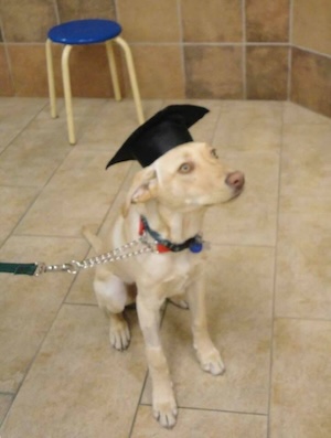 Larry's Graduation Picture
